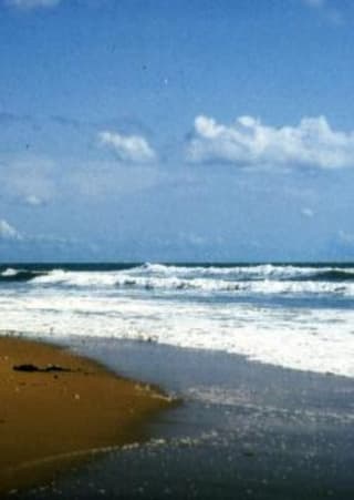 CAMPING GCU - JARD SUR MER